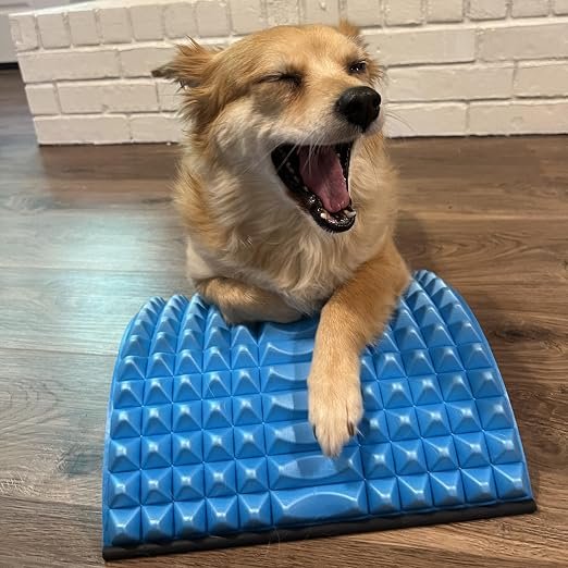SOLIDBACK | Lower Back Pain Relief Treatment Stretcher | Chronic Lumbar Support | Herniated Disc | Sciatica Nerve | Spinal Stenosis | Posture Corrector | Pillow Cushion And Brace Products Alternative