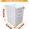 Dental Assistant's Mobile Cabinet 5 Drawer Office File Storage Cart Mobile Utility Storage Cart Stainless Steel Moving Side Cabinet with 2 Pallets Lock Wheels for Dental Medical Office