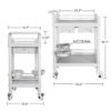 Mobile Medical Cart, 2 Tier Trolley 120 Lbs, with 2 Drawers Carts, Beauty Salon Rolling Trolley with Dirt Buckets, 360° Rotate Wheels, Heavy Duty Medical Utility Cart for Hospital Dental Clinic