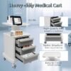 Mobile Medical Cart with 3 Drawers, Utility Cart with Wheels Commercial Hospital Office Lab Cart Beauty Salon Storage Trolley, for Hospital Lab Clinic Pet Shop