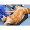 Veterinary Echo Mattress - Ultrasound Positioning Mattress with Cutout - Heavy-Duty Vinyl Cover - Easy Clean - 39" L x 18" W x 6" H - 1 Pack