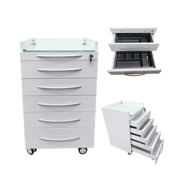 Dental Assistant's Mobile Cabinet 5 Drawer Office File Storage Cart Mobile Utility Storage Cart Stainless Steel Moving Side Cabinet with 2 Pallets Lock Wheels for Dental Medical Office